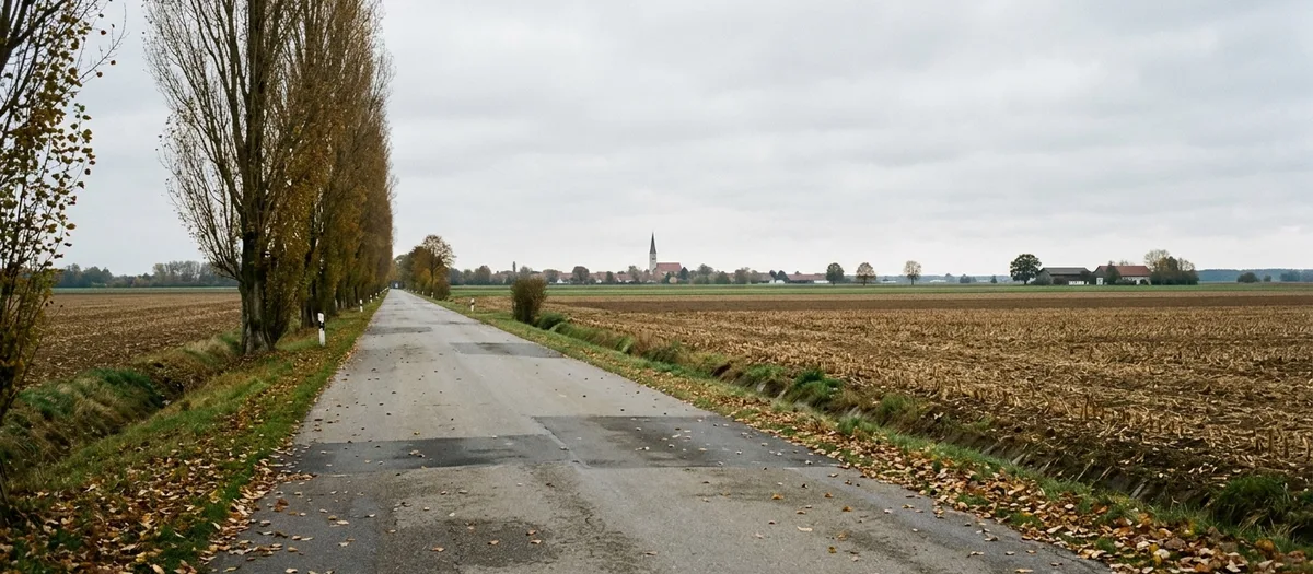 Transporter auf einer Landstraße zwischen Feldern